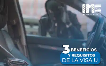 3 Beneficios y Requisitos de la VISA U