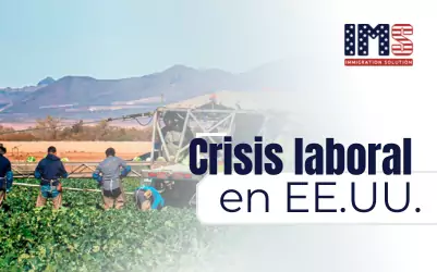 Redadas, miedo y despidos: así perdió EE.UU. más de 1,2 millones de inmigrantes en su fuerza laboral 